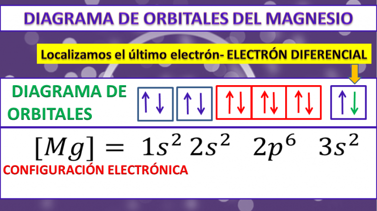 Magnesio - Mg - Profe Arantxa